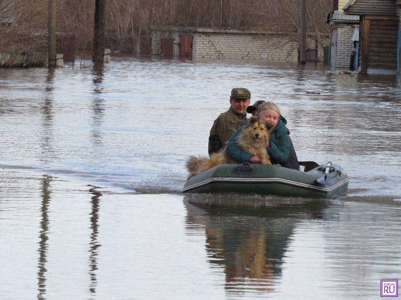 Курганцы спасают собак из зон подтопления